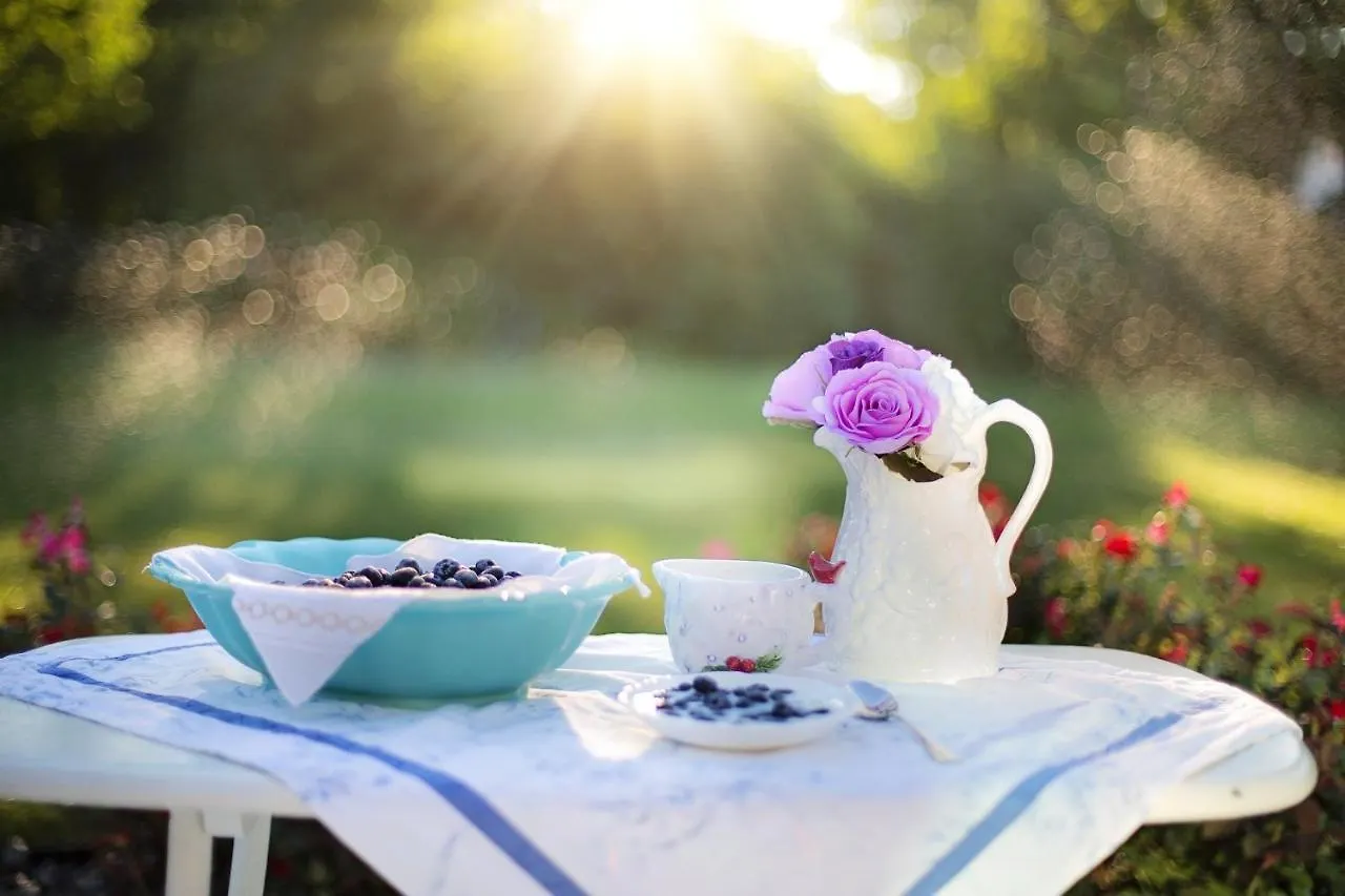 Farm stay Petita Mare Villa Binibona